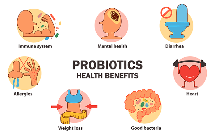 Guide to healthy gut and probiotics - Gutbasket