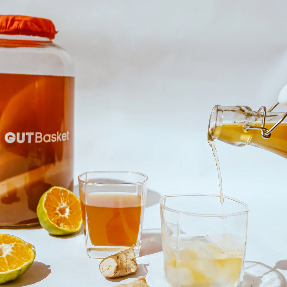 Kombucha FAQ's - For beginners - Gutbasket