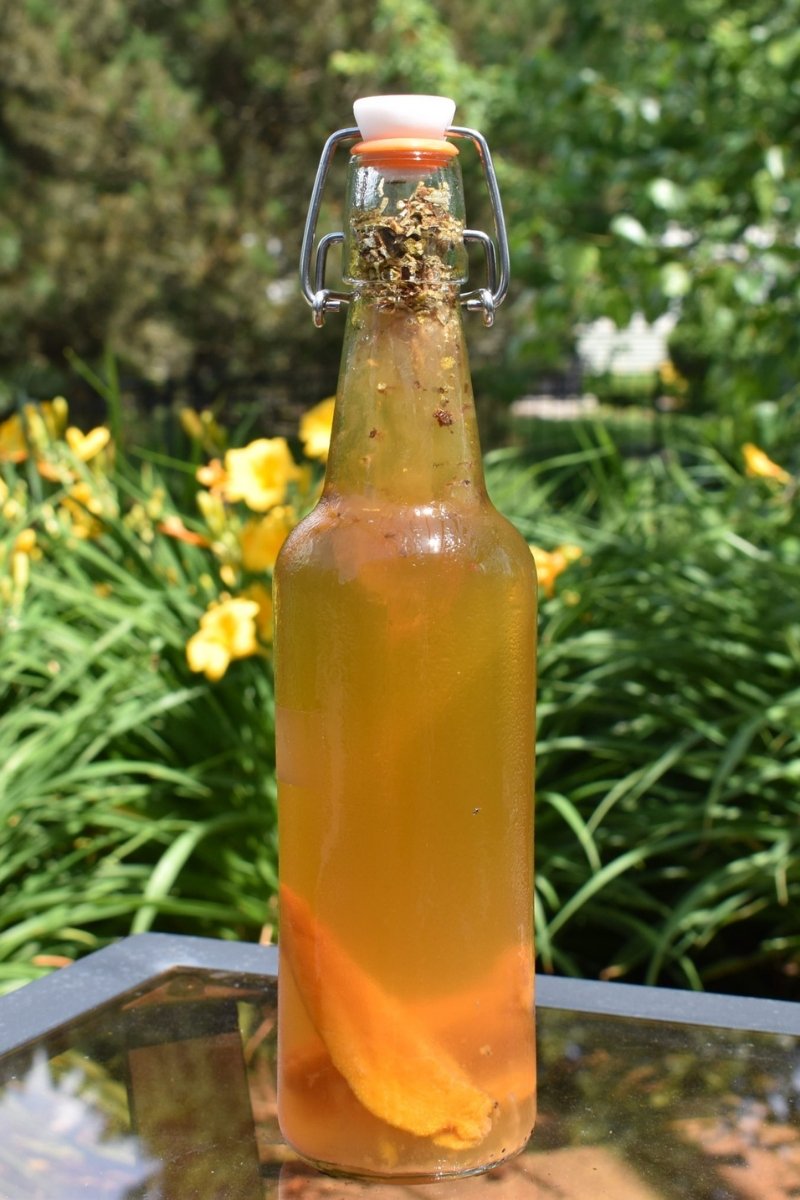 Mango Kombucha - Gutbasket