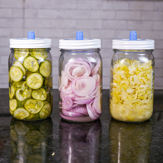 Why eat fermented foods - Gutbasket
