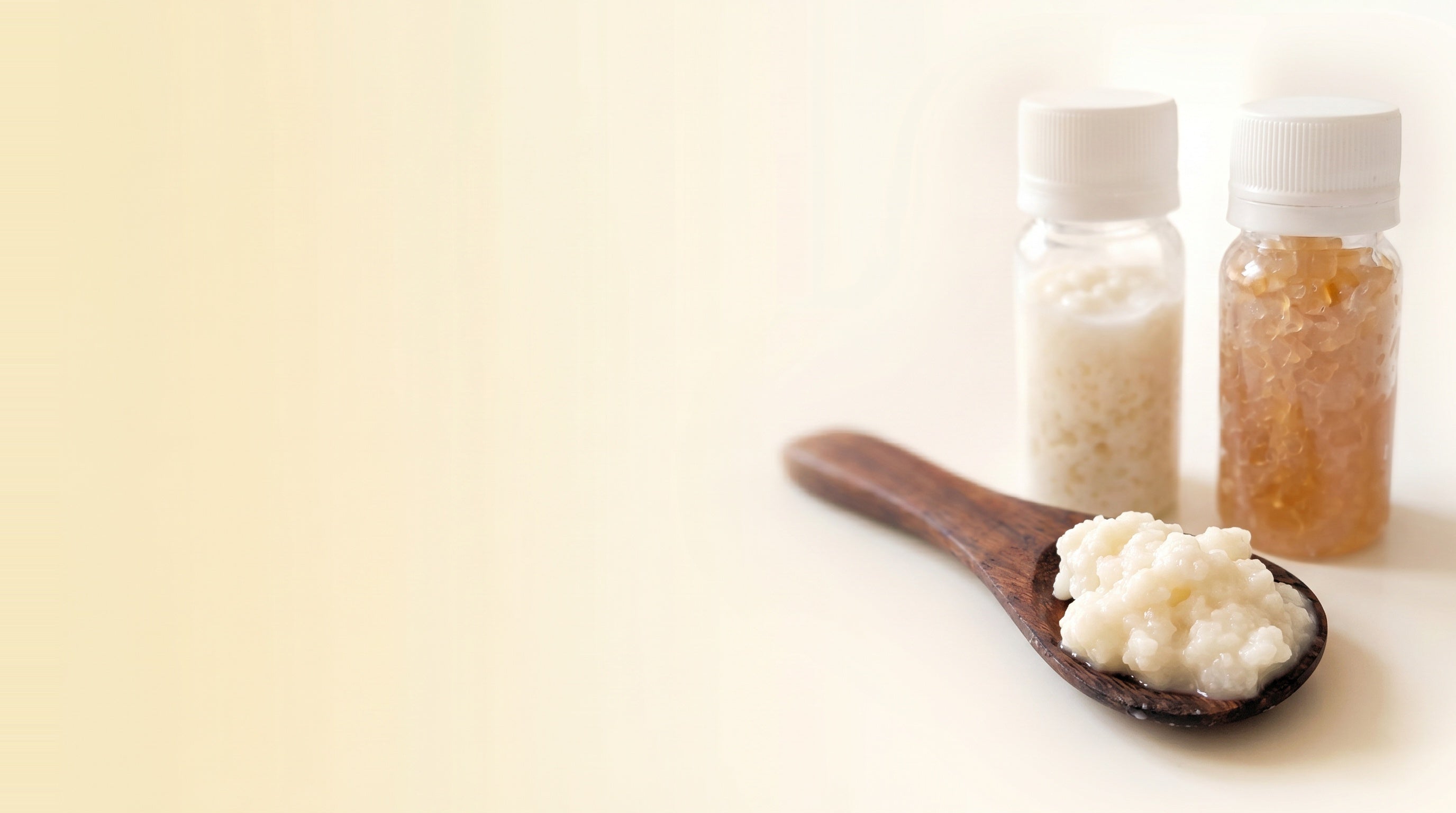 Kefir Sample Collection Kefir Grains & Fermentation Supplies – Water, Milk & Coconut Kefir ...