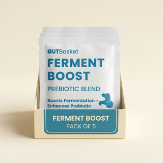 Gutbasket Ferment Boost prebiotic sachets, pack of 5