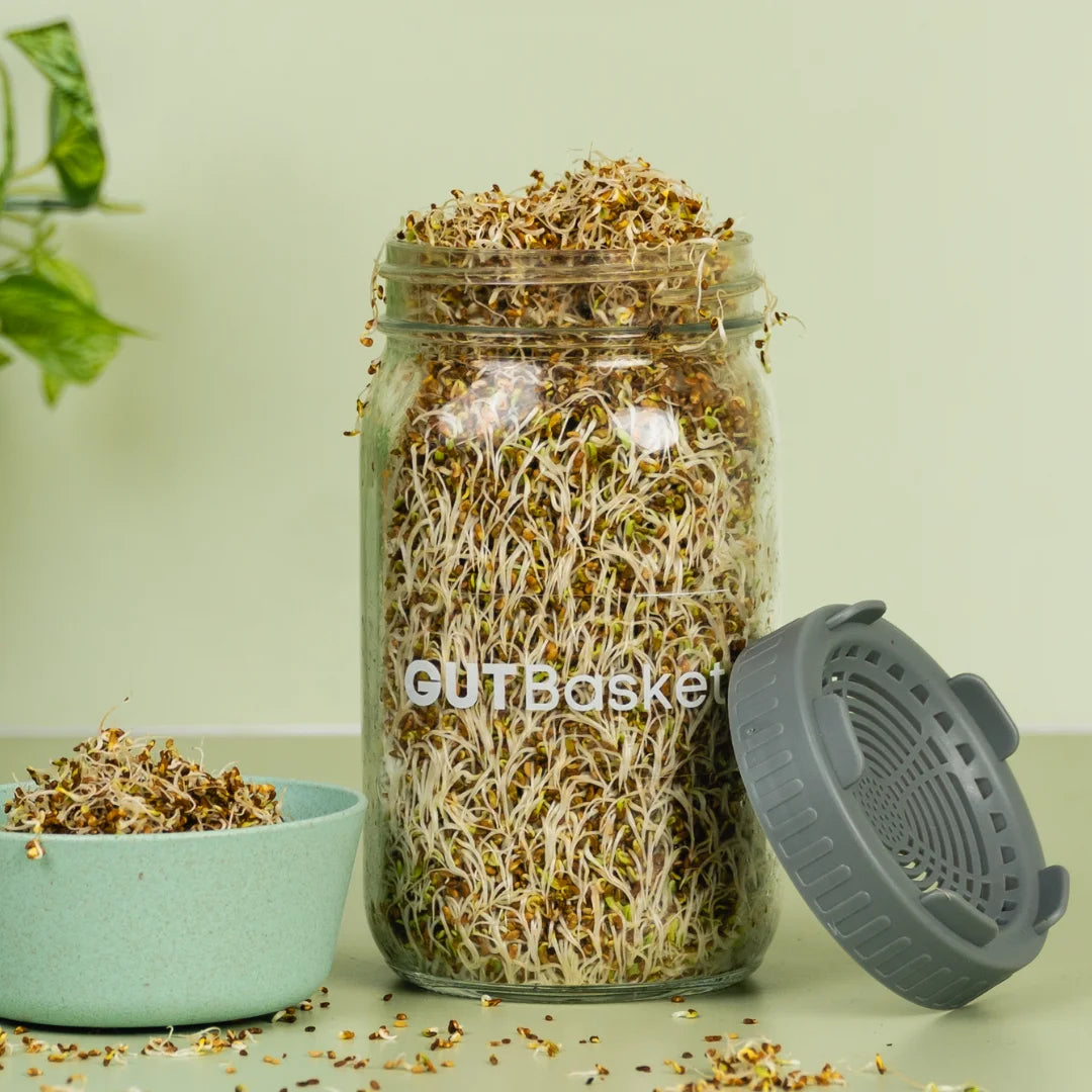 Glass jar with sprouts, a bowl of sprouts, and a gray lid on a light green background.