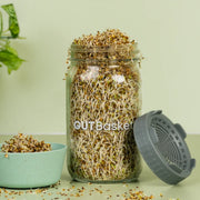 Glass jar with sprouts, a bowl of sprouts, and a gray lid on a light green background.