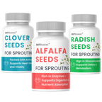 Gutbasket clover, alfalfa and radish sprouting seed trio