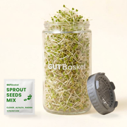 Gutbasket Sprout Maker 700 ml — glass jar filled with fresh sprouts