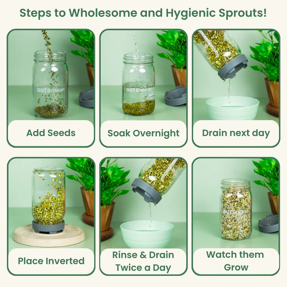 Sprout Maker Sprouting Kit with Glass Jar and Guide – Gutbasket
