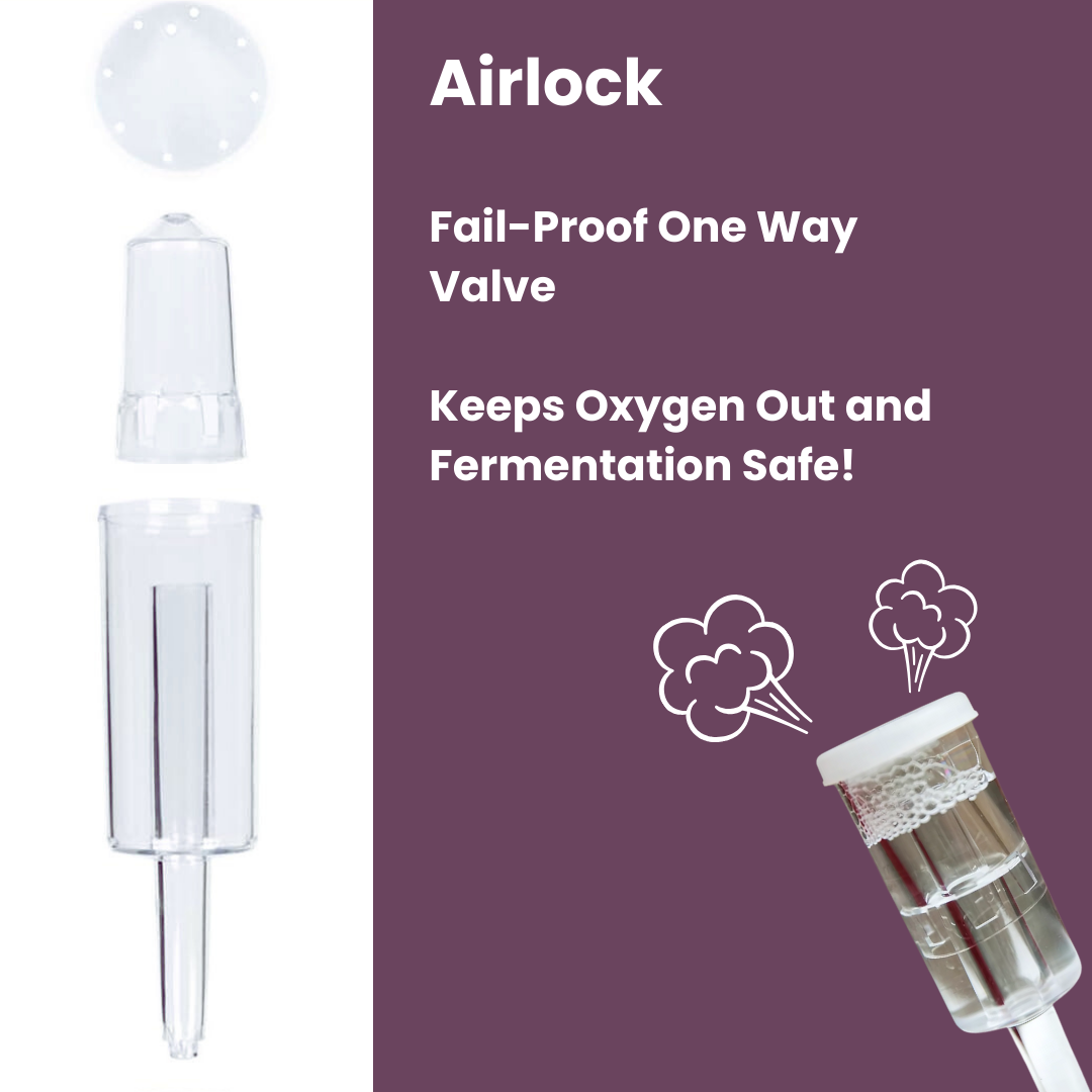 Gutbasket 1 litre fermentation jar — airlock and lid detail