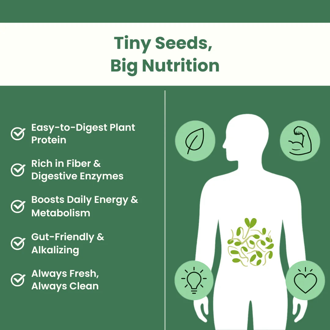 Gutbasket Sprout Maker — sprouts ready to harvest