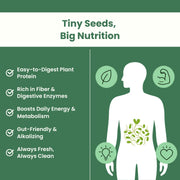 Gutbasket Sprout Maker — sprouts ready to harvest