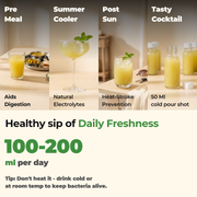 Gutbasket Aam Panna Supplies — additional view 3