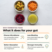 Fermentation Starter Kit