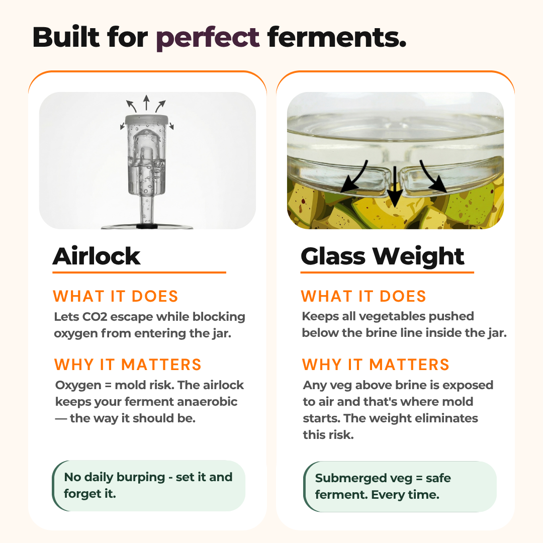 Fermentation Starter Kit