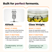 Fermentation Starter Kit