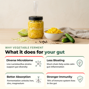 Gut health benefits of GutBasket vegetable fermentation kit