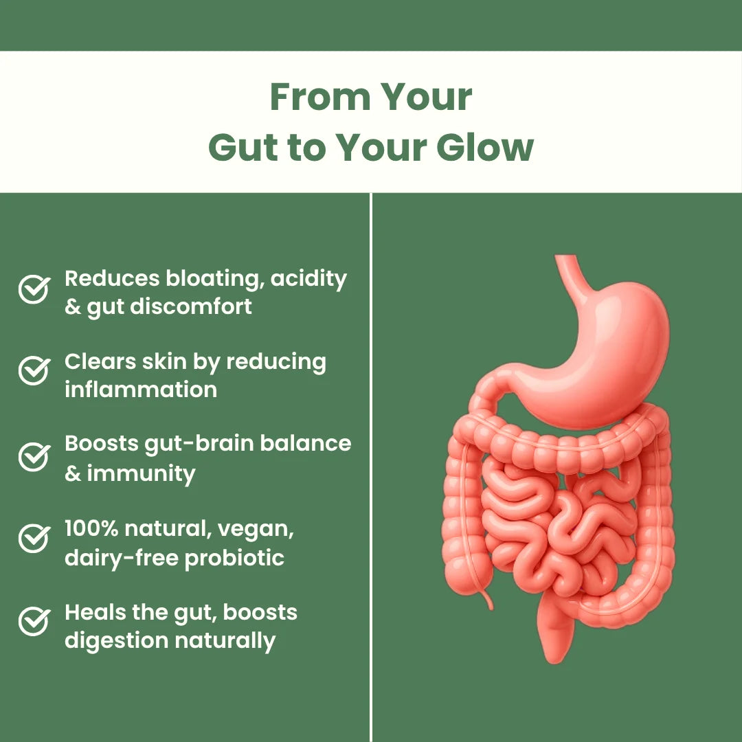 Gut-health benefits of fermented vegetables