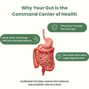 Why fermented vegetables are good for your gut