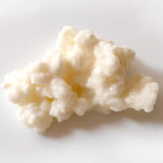 Gutbasket A2 milk kefir grains — additional view 2