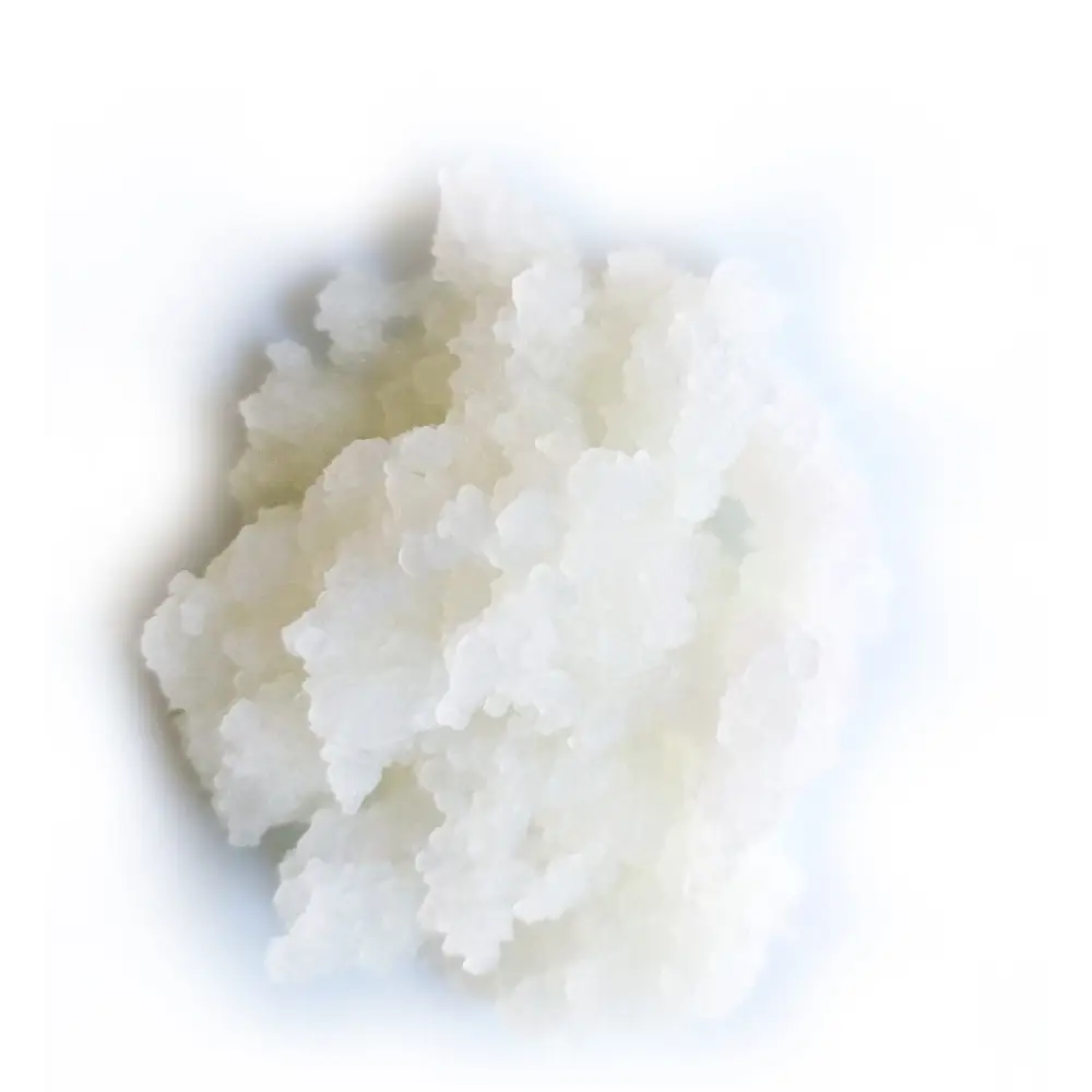 Coconut Kefir Grains - Gutbasket