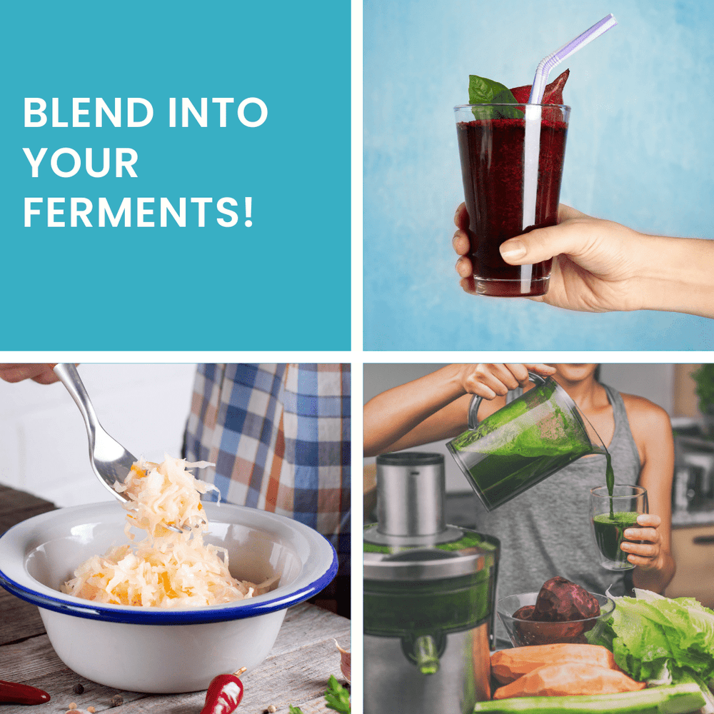 
                  
                    Ferment Boost - Prebiotic Blend to Enhance Kanji and other Ferments - Gutbasket
                  
                