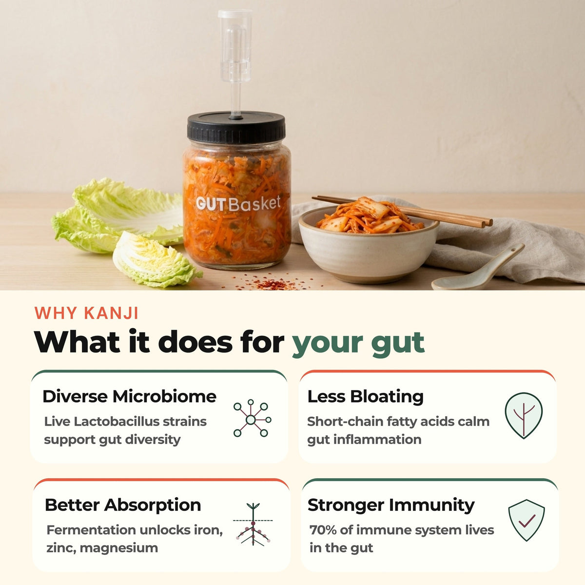 Gut health benefits of GutBasket kimchi making kit