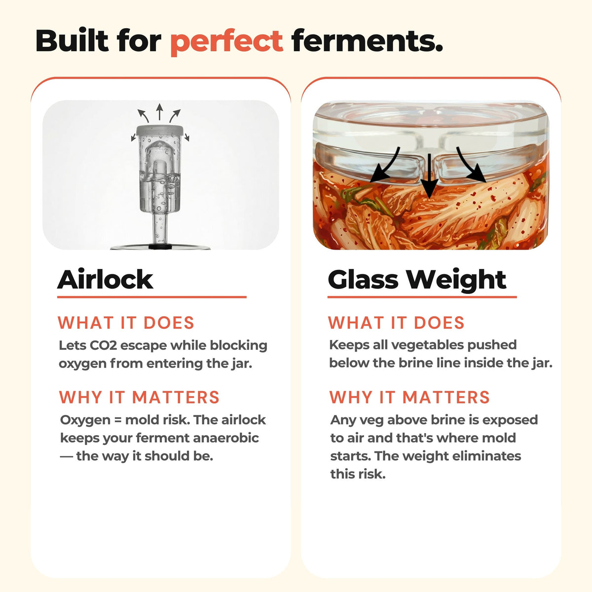 Airlock and glass weight feature explanation for GutBasket kimchi making kit