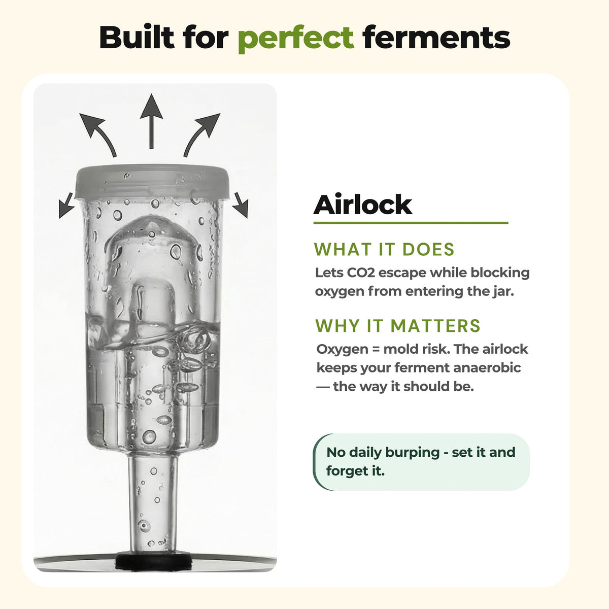 Airlock feature explanation for GutBasket probiotic aam panna making kit