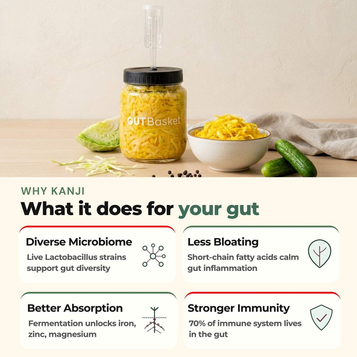 Gut health benefits of GutBasket vegetable fermentation kit
