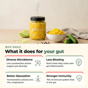 Gut health benefits of GutBasket vegetable fermentation kit