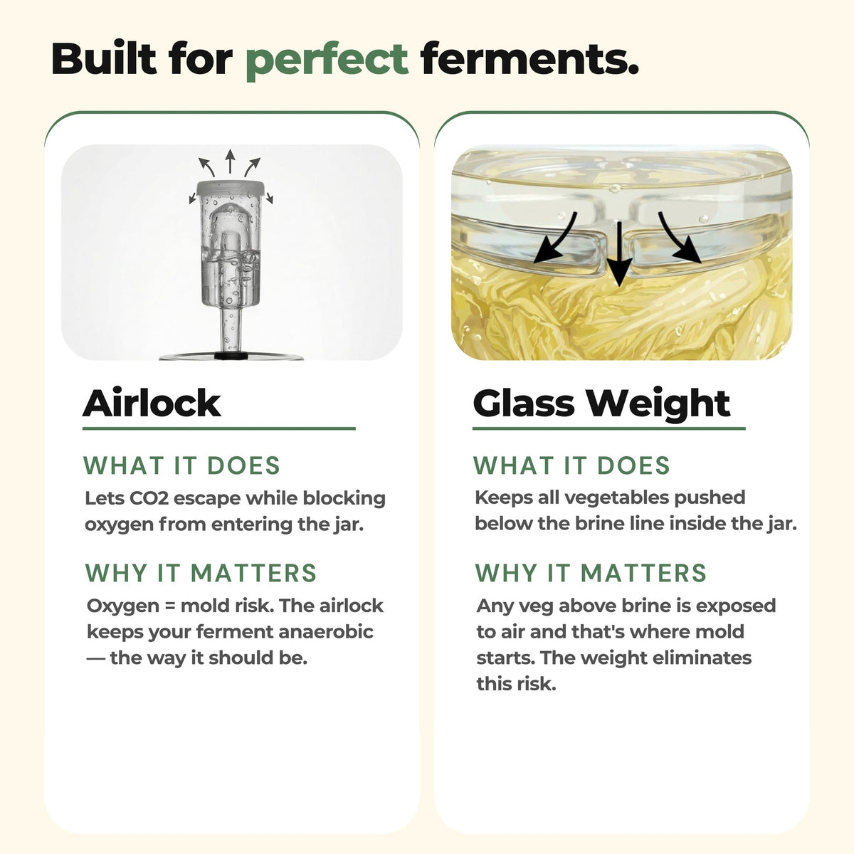Airlock and glass weight feature explanation for GutBasket vegetable fermentation kit