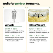 Airlock and glass weight feature explanation for GutBasket vegetable fermentation kit