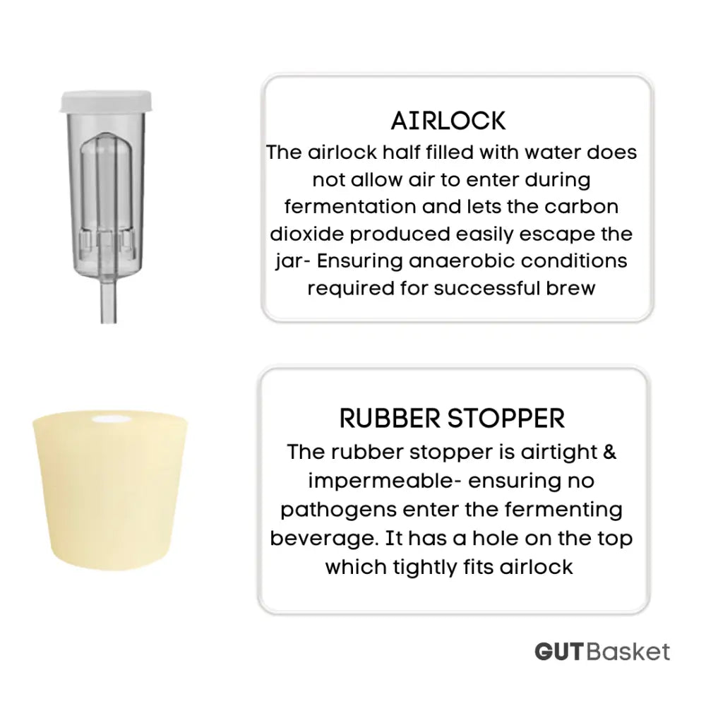 Gutbasket 8 litre HDPE plastic carboy — additional view 4
