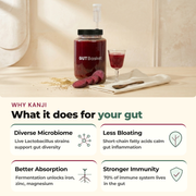 Gutbasket Kanji Making Kit — step-by-step kanji fermentation instructions