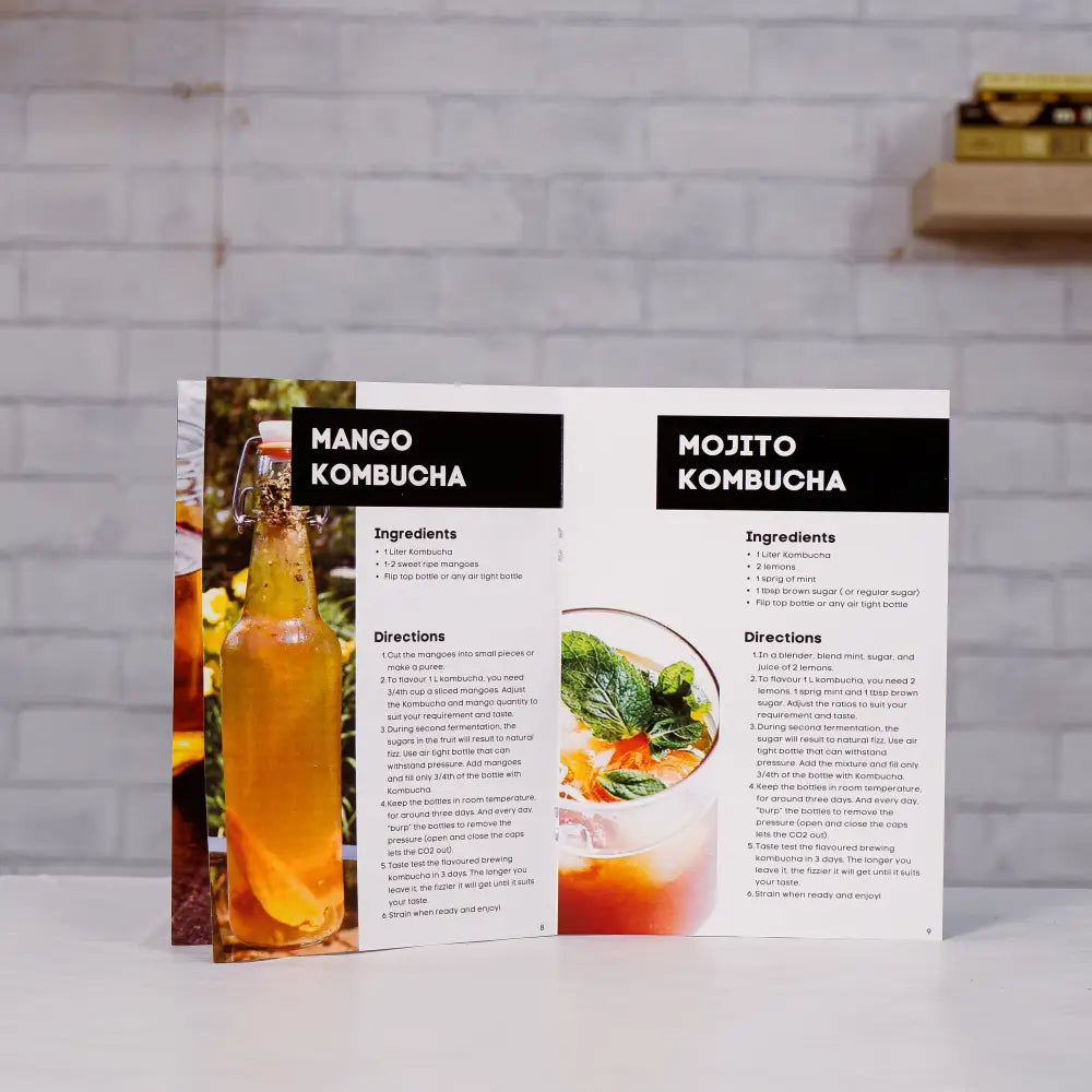 Gutbasket Kombucha Guide and Recipe Book — additional view 3