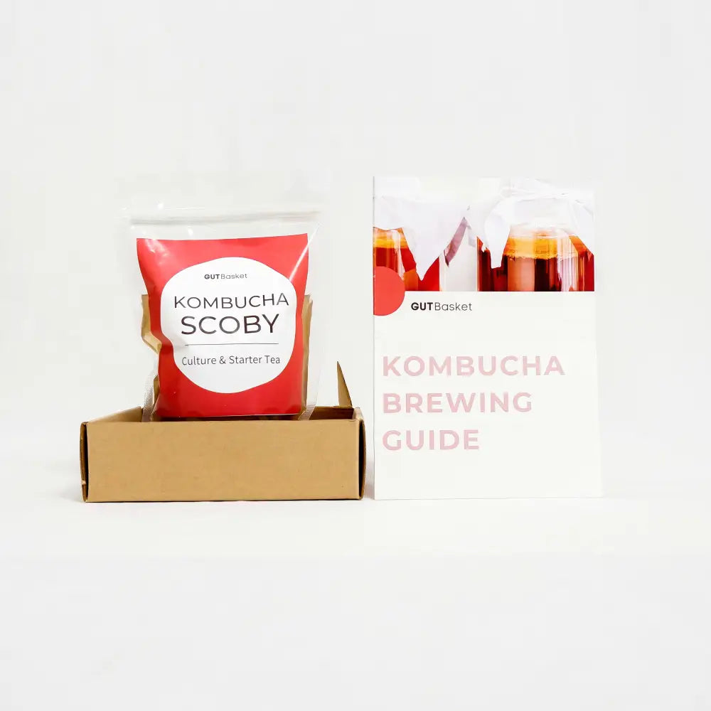Gutbasket kombucha SCOBY and starter tea — additional view 2