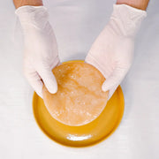 Gutbasket kombucha SCOBY and starter tea for brewing kombucha at home