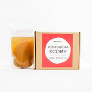 Gutbasket kombucha SCOBY and starter tea — additional view 4