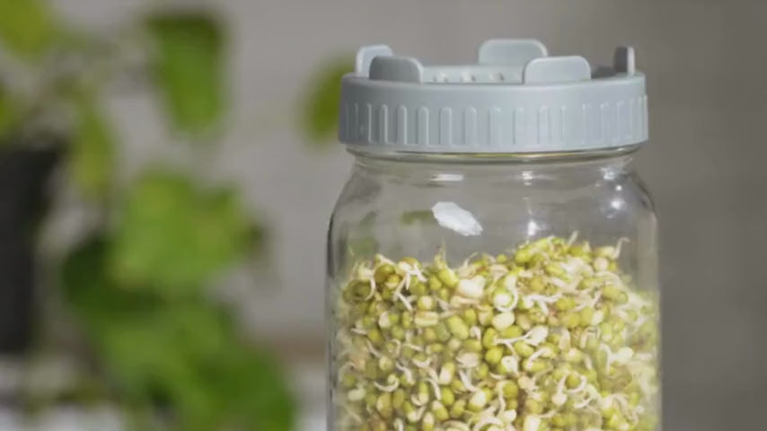 Sprout Maker