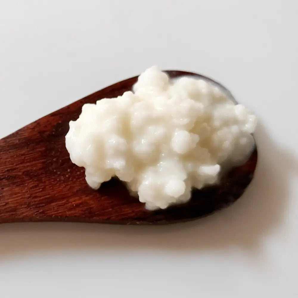 Gutbasket milk kefir grains — live cultures for probiotic kefir
