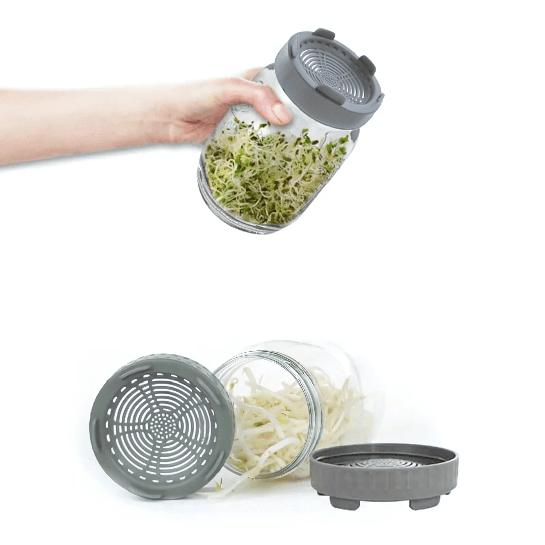 Sprout Making Jar - Gutbasket