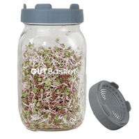 Sprout Making Jar - Gutbasket