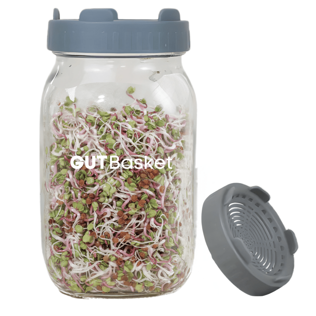 🎁 Sprout Making Jar (50% off) - Gutbasket