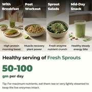 Gutbasket Sprout Maker 700 ml — home-grown sprouts ready to harvest