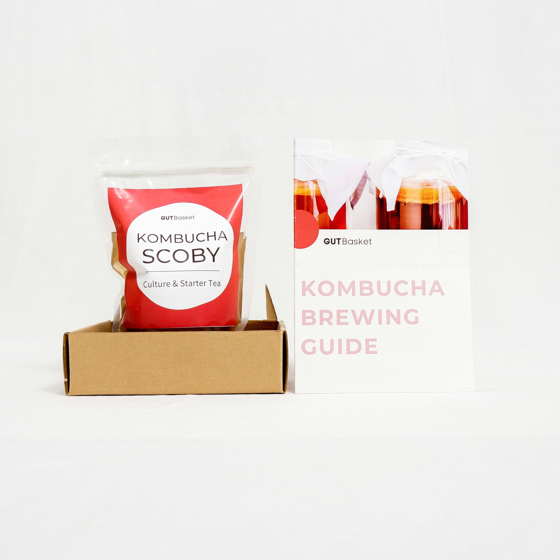 Kombucha Scoby And Stater Tea - Gutbasket