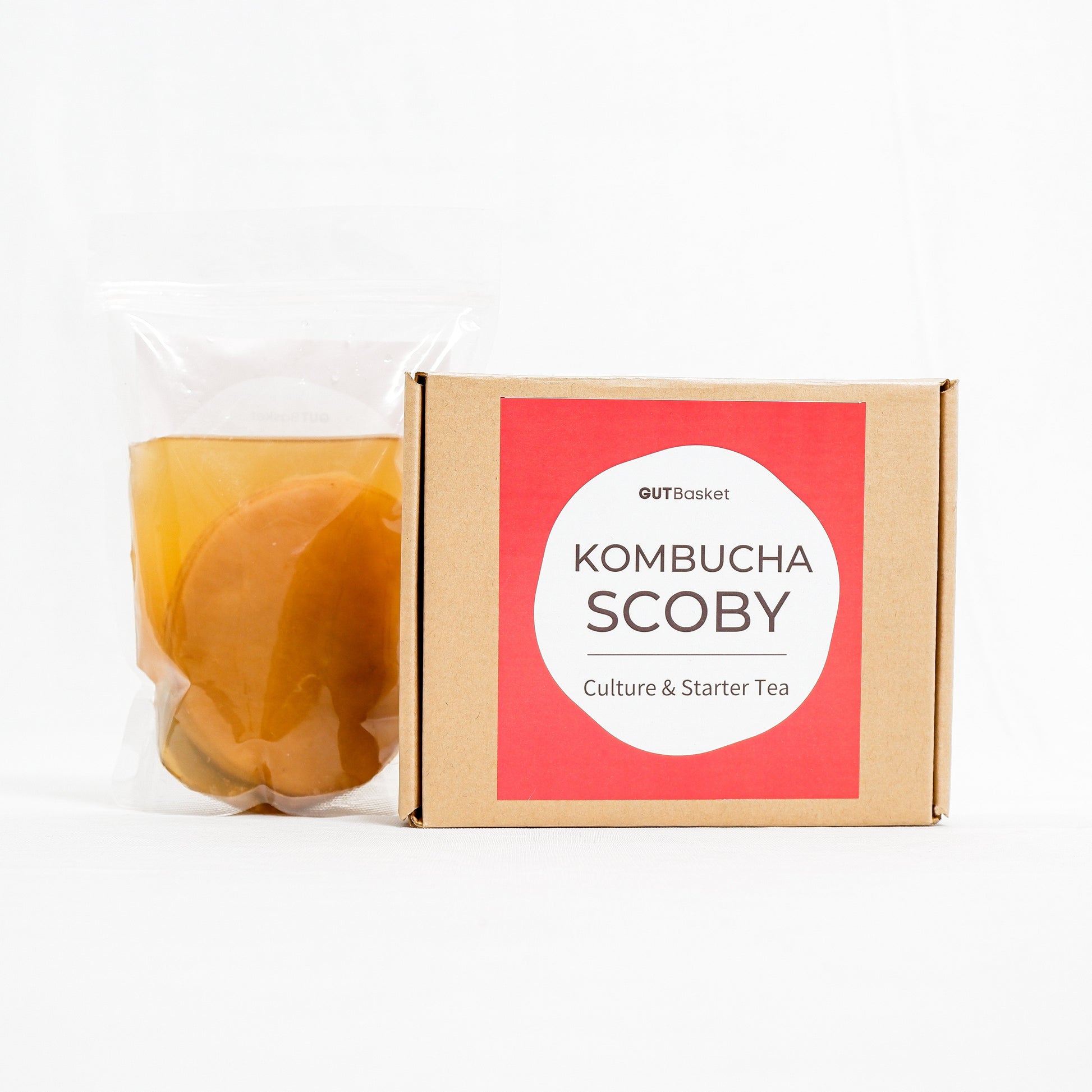 Kombucha Scoby And Stater Tea - Gutbasket